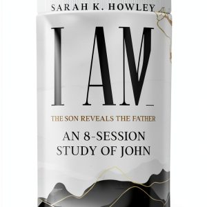 Christian New Testament Study Book Flaming Dove Press Series-0