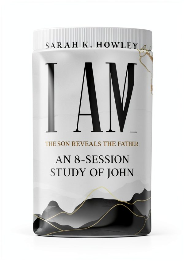 Christian New Testament Study Book Flaming Dove Press Series-0